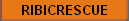 RIBICRESCUE
